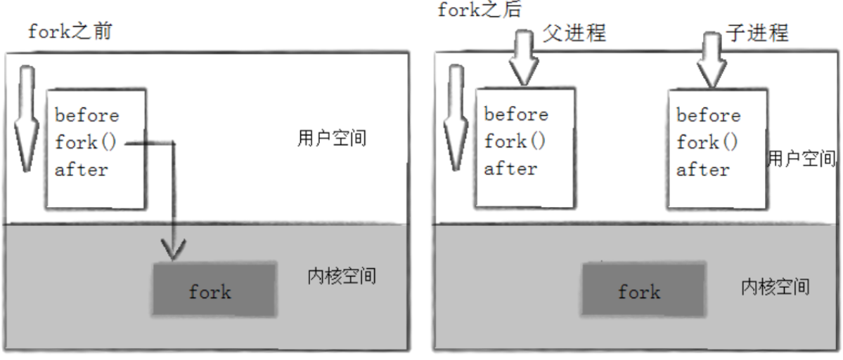 【Linux系统编程】(十七)揭秘 Linux 进程创建与终止:从 fork 到 exit 的底层逻辑全解析
