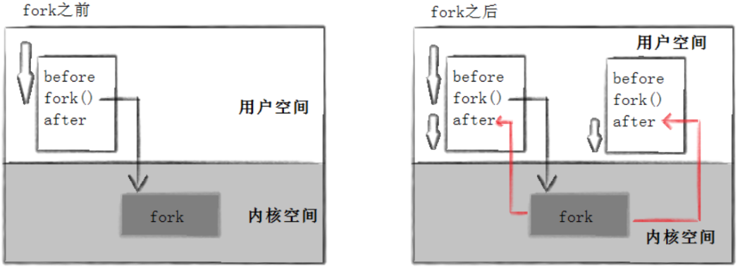 【Linux系统编程】(十七)揭秘 Linux 进程创建与终止:从 fork 到 exit 的底层逻辑全解析